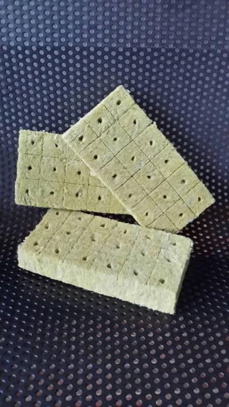 Rockwool Sayuran Hidroponik Rockwool Sayuran Hidroponik